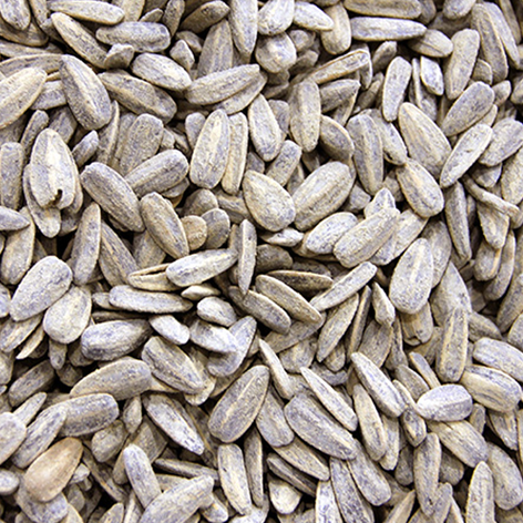 Pipas De Girasol Sal 3k La Baturrica