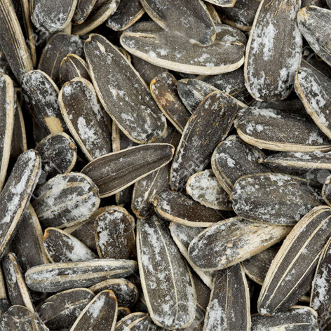 Pipas Tostadas Sal Camba