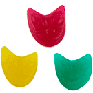 [8412957028358] Cara Gatos 250u Burmar