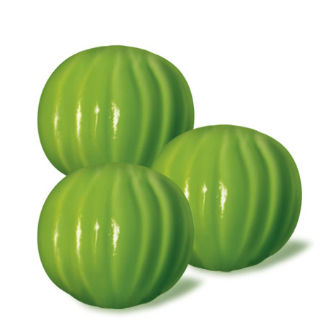 [8413178267571] Sandias B-250u Vidal