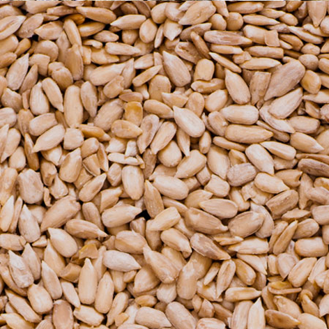 [8420335719019] Pipa Pelada Frita Xanos 12x300grs