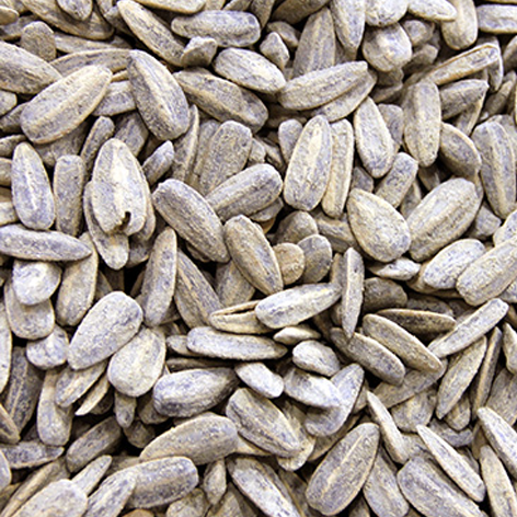 [8420335720015] Pipa De Girasol C/Sal Xanos 12x150grs