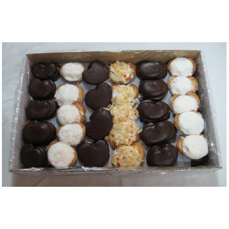 [4898628512281] Palmeras Surtidas 2k Errotaetxe